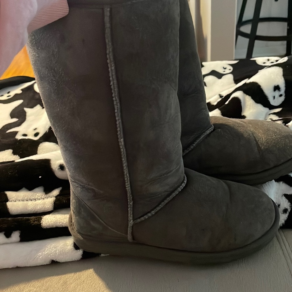 Tall Grey Uggs